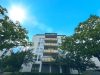 Haus