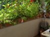 Loggia